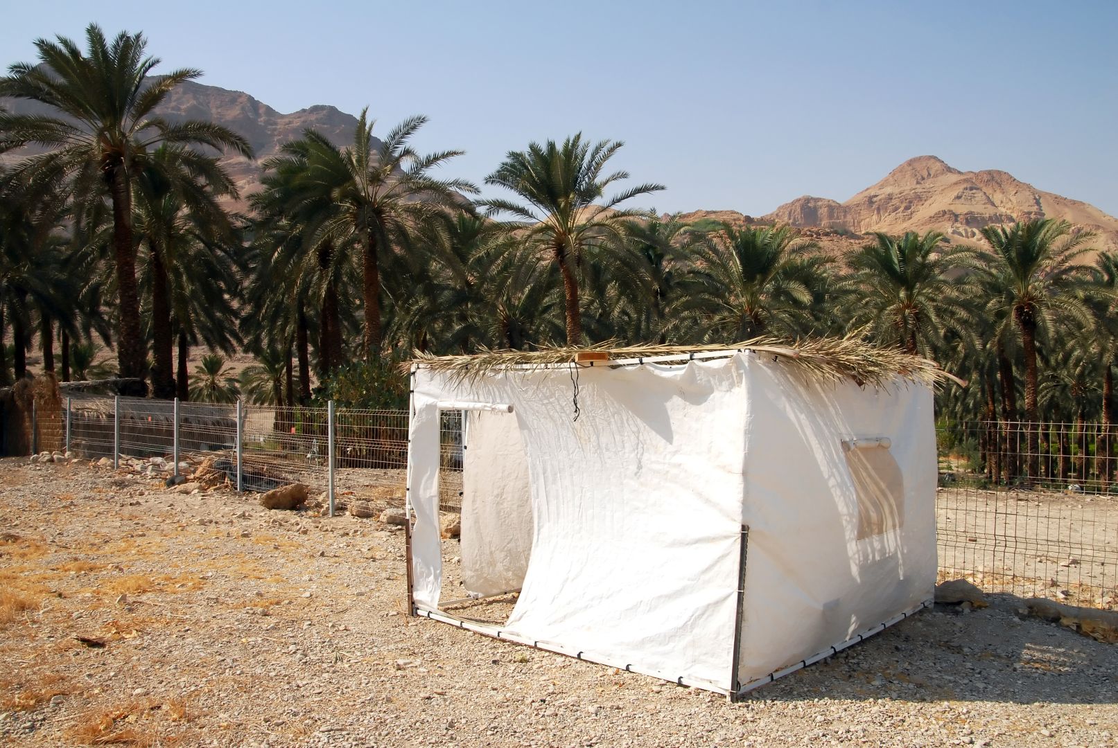 A sukkah is a temporary hut constructed for use during the week-long Jewish festival of Sukkot. It is topped with branches and often well decorated with autumnal, harvest or Judaic themes.