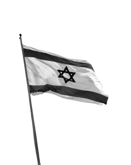 דגל ישראל תמונה בשחור לבן